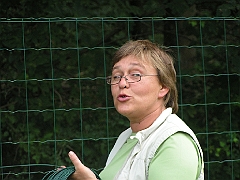 DIVERS 2009 641